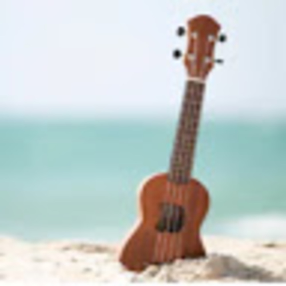 Meet your Posher, Madylin